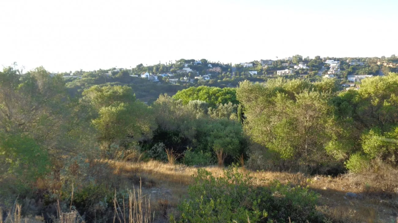Sotogrande Alto, San Roque, Cadiz Spain