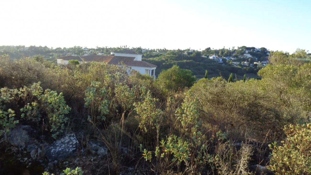 Sotogrande Alto, San Roque, Cadiz Spain